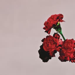 All of Me album cover